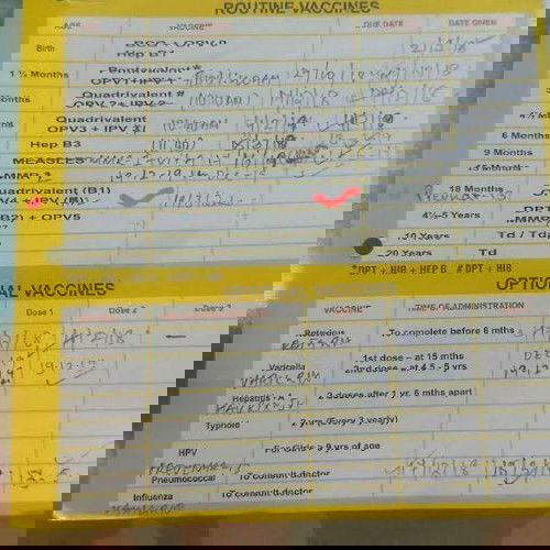 Routine and optional vaccines