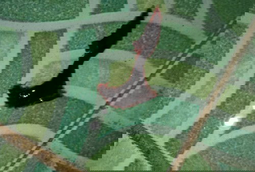 Ada gumpalan di 3 hari ini