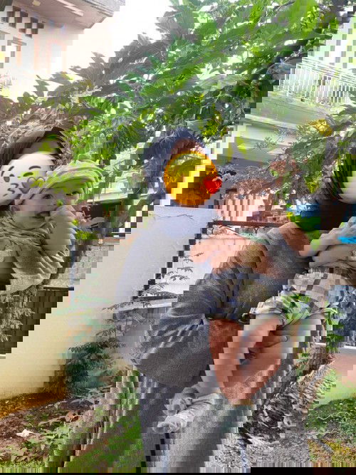 IRT atau Wanita Karir(?)