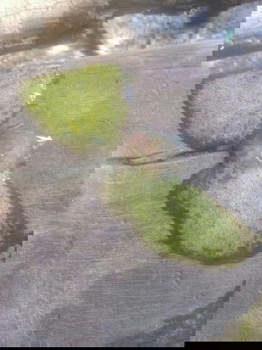 ถ่ายเหลว แบบนี้ปกติไหมคะ