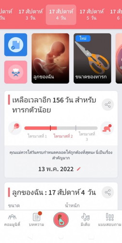รู้เพศลูกกันตอนไหน