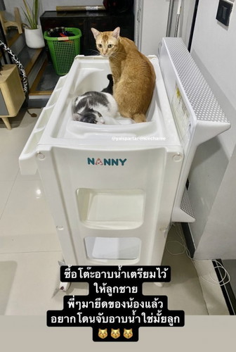 โต๊ะอาบน้ำทารก