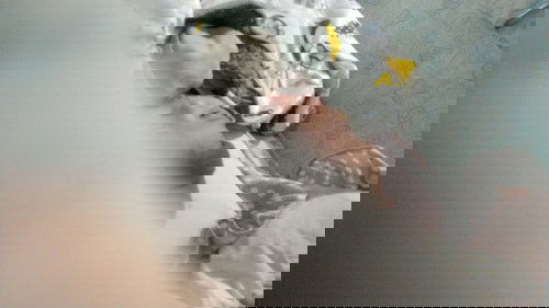 Alhamdulillah.. Maju seminggu dari HPL