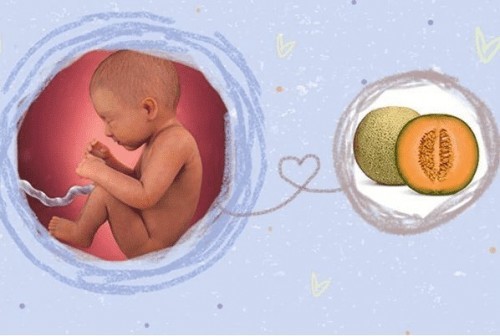bầu con so thường sinh sớm hay sinh muộn thế các mẹ?