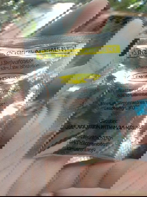 2 months preggy pwede po ba uminon ng Ors Dehydrosol