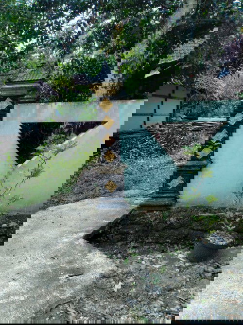 Curhat tetangga yg toxic