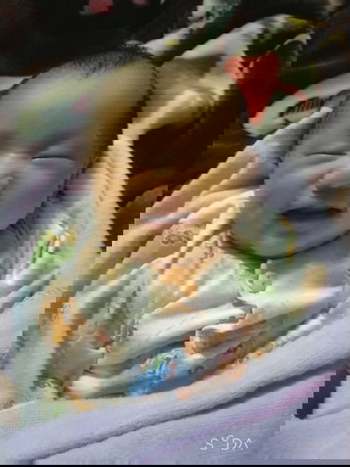 ลูกพีช🍑🍑🍑🍑🍑🍑🍑🍑🍑🍑🍑🍑🍑🍑🍑🍑🍑🍑🍑🍑🍑🍑🍑🍑🍑🍑🍑🍑🍑🍑🍑🍑🍑🍑🍑🍑🍑🍑🍑🍑🍑🍑🍑🍑🍑🍑🍑