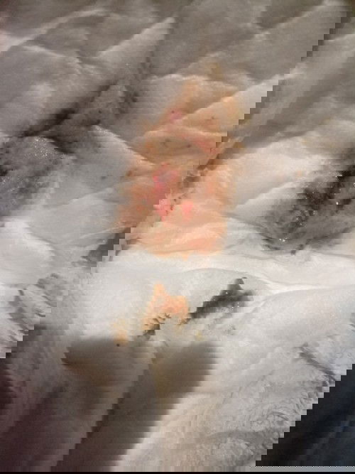 Ano po tawag dito at ano po pwede kong gawin