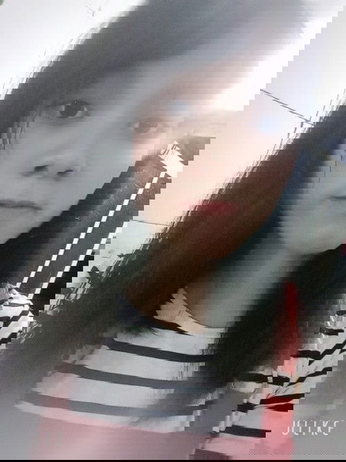 Tham khảo ý kiến các m