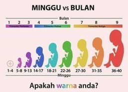37 minggu 1 hari