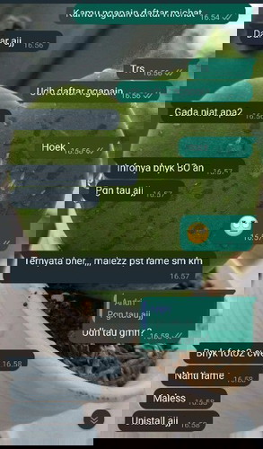 Suami pake apk jahanam michat
