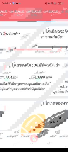 มีใครทีมเดียวกันบ้างคะ