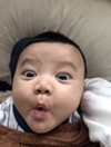 Post reply image
