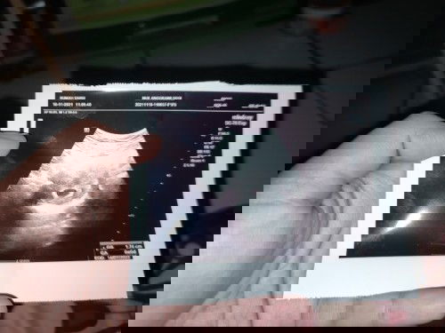 Bantu jawab ya bunda 😊