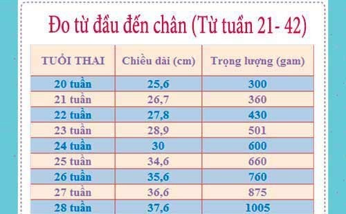Cân nặng theo tuổi thai có chính xác k, con e 22w mới 391gr