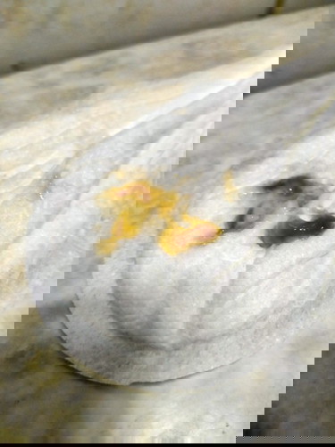 Mucus plug na po kaya to?