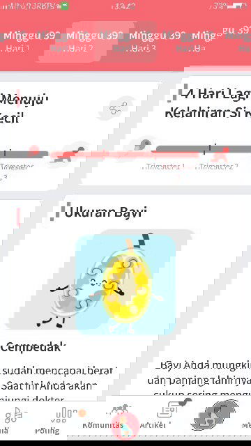 Menanti gelombang cinta dari si debay