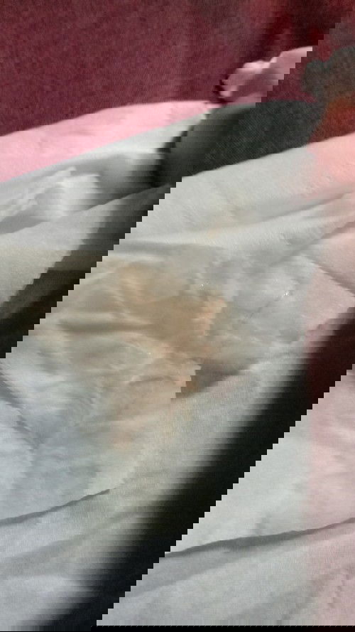 Tanda melahirkan kah