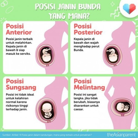 Posisi Janin