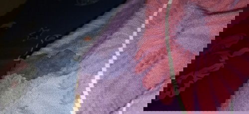 Air susu waktu hamil