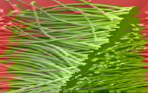 Khám phá các món rau xào tốt cho bà bầu