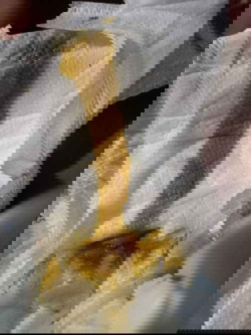 อึหลายรอบ!!