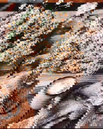 Can kindless and honesty have you change people 's hearts ?