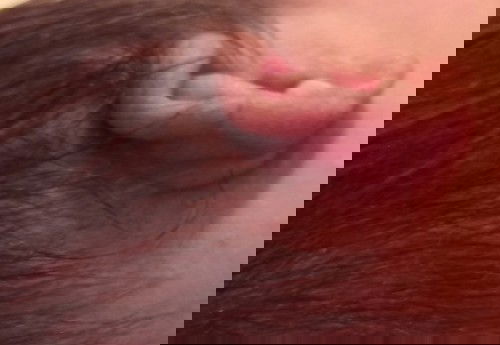 Keringat Kuning Belakang Telinga