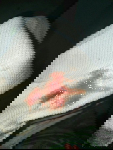 Ask ko lang po kung ito na po ba ang mucus plug?
#teamdecember
#39w/1day