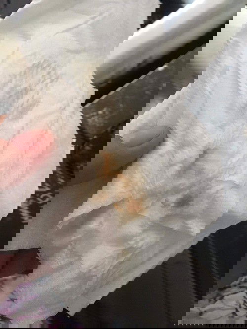 Brown discharge at 32 weeks and 5 days