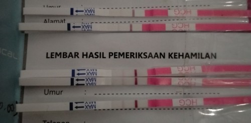 Bund mau tanya hasil test pack yang seperti ini hamil atau tidak ya bund??