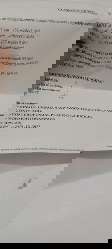 BPS ultrasound