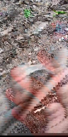 39+2ก่อนหน้านี้มีเจ้บเตือนมาสองสามวันเมื่อวานมีมูกใสเริ่มออกมาตื่นมาเช้ามีมูกใสเย็นก็มีมูกใสปกติไม่