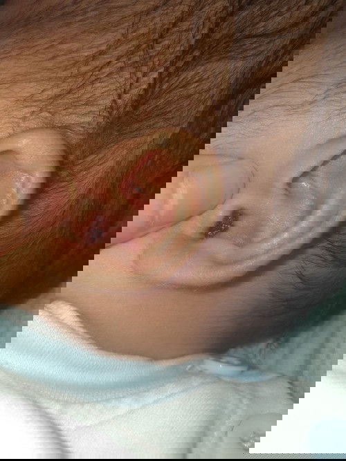 Mom nào biết chỉ vs ạ