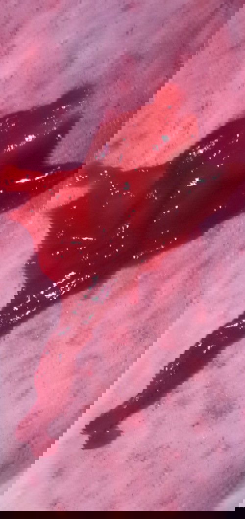 แบบนี้คืออะไรค่ะ