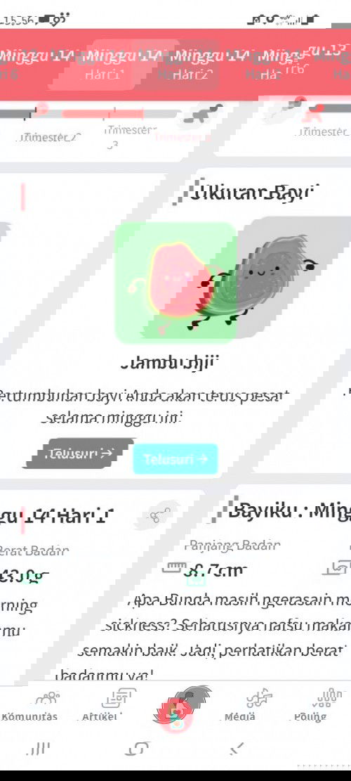 Berat janin usia 13 minggu bunda brp?