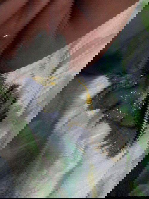 Gray poops ni baby #Firsttimemom