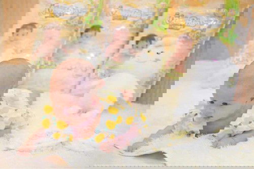 ผ้าอ้อมที่แม่เลือกใช้