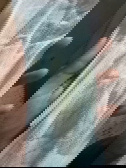 ขอสอบถามหน่อยนะคะ🙏🥺คือนํ้าอะไรหรอคะ 39wแล้วคะตื่นเช้ามาก็เห็นเลย