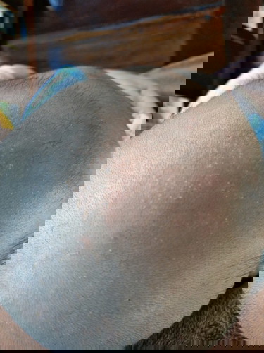 แม่ไปบ้านไหนน้องเป็นบางค่ะ
น้องได้สองเดือนจะสามเดือนแล้วคะ