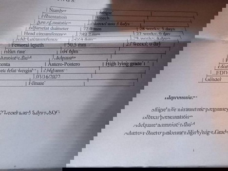 27 weeks pregnant ❤