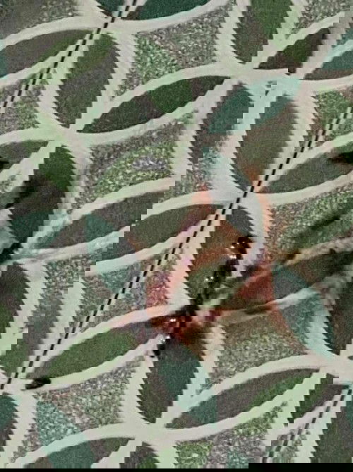 Hamil 5w5d, ada flek tapi sudah berkurang dan berubah menjadi coklat. siang ini saya BAK, keluar lendir. Ada yg sama?