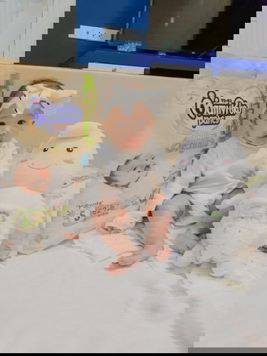 Mamypoko SuperPremium Organic