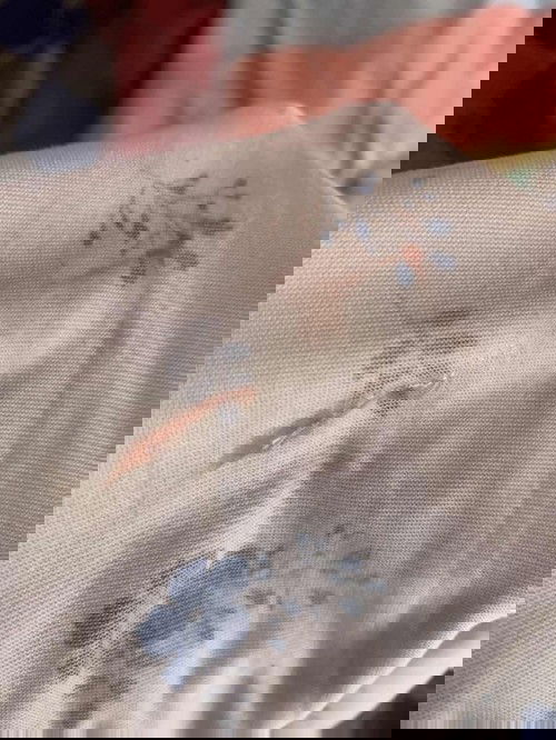 ขออนุญาตถามหน่อยค่ะ