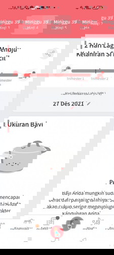 Flek darah , HPL 31 Desember