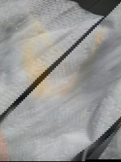 ขอคำสอบถามหน่อยค่ะ