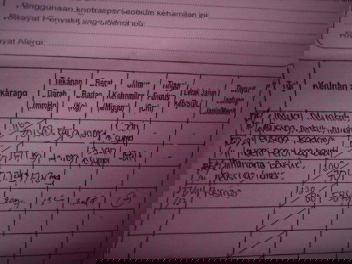 Belum ada pengalaman kehamilan pertama