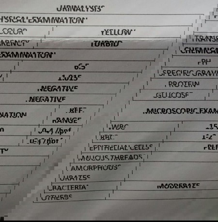 Urinalysis