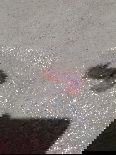 แม่ๆบอกหน่อยค่ะ