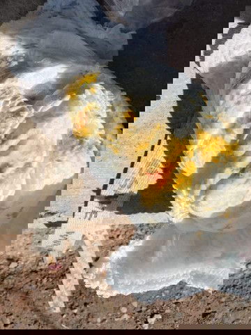 ถ่ายมีเลือดปน